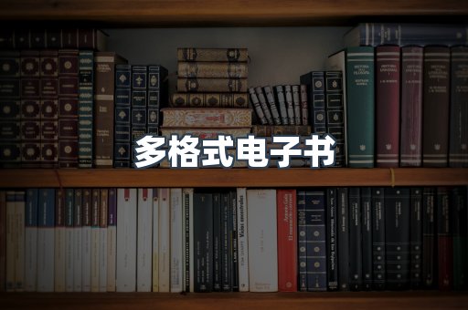 多格式电子书